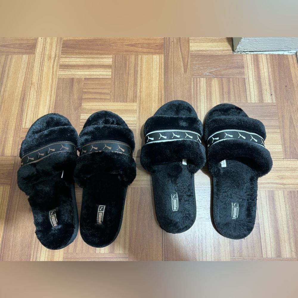 Puma slides